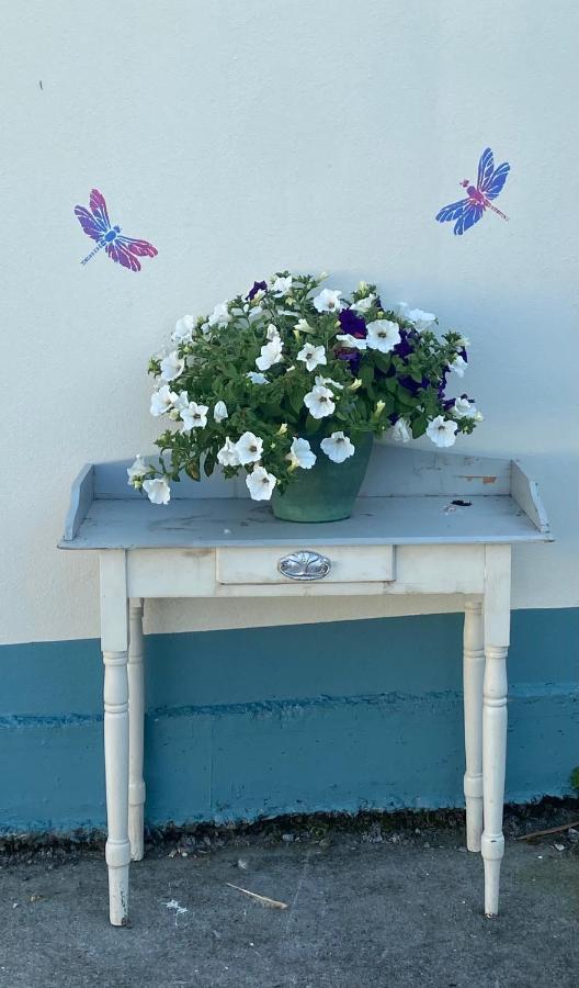 Farm Stay Property Pets And Families Welcome Rossnowlagh Luaran gambar