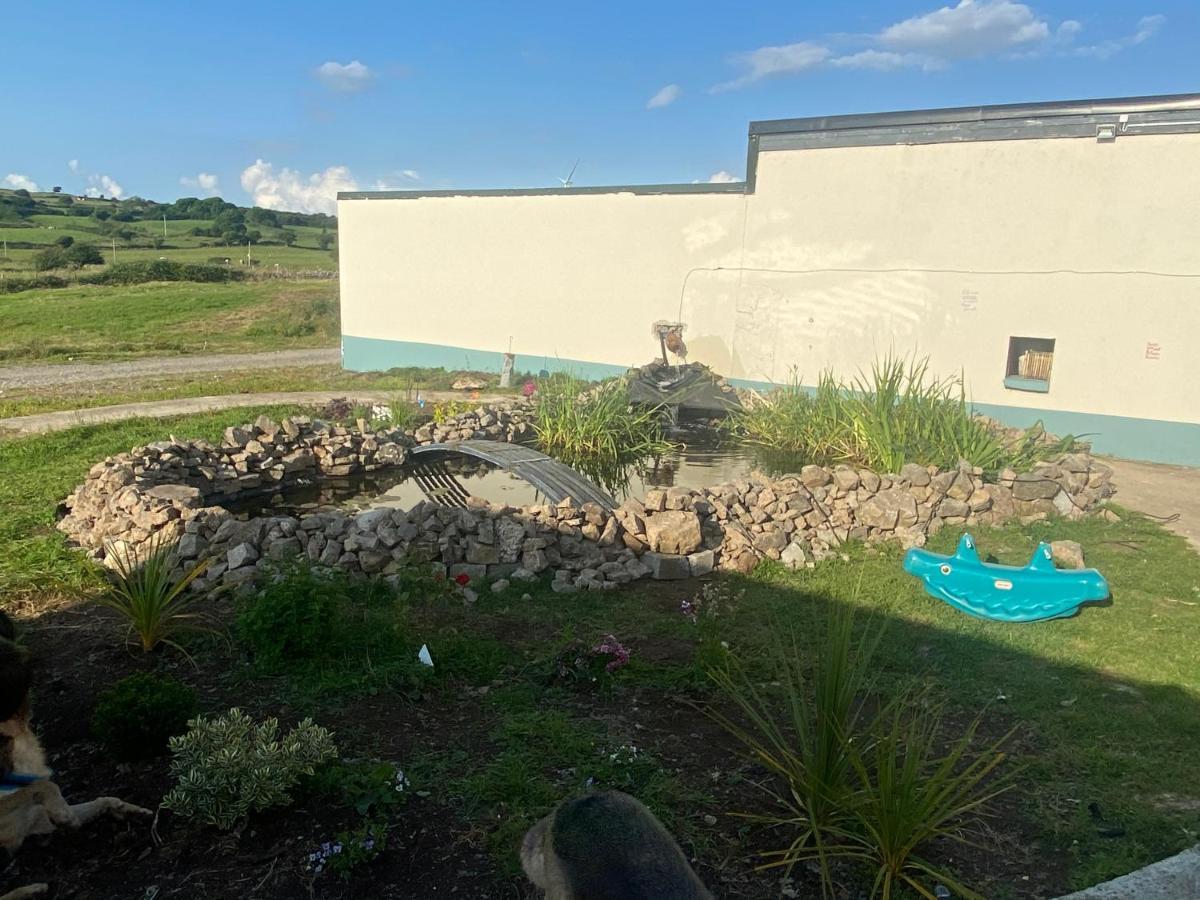 Farm Stay Property Pets And Families Welcome Rossnowlagh Luaran gambar