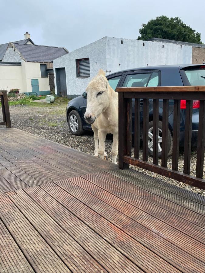 Farm Stay Property Pets And Families Welcome Rossnowlagh Luaran gambar