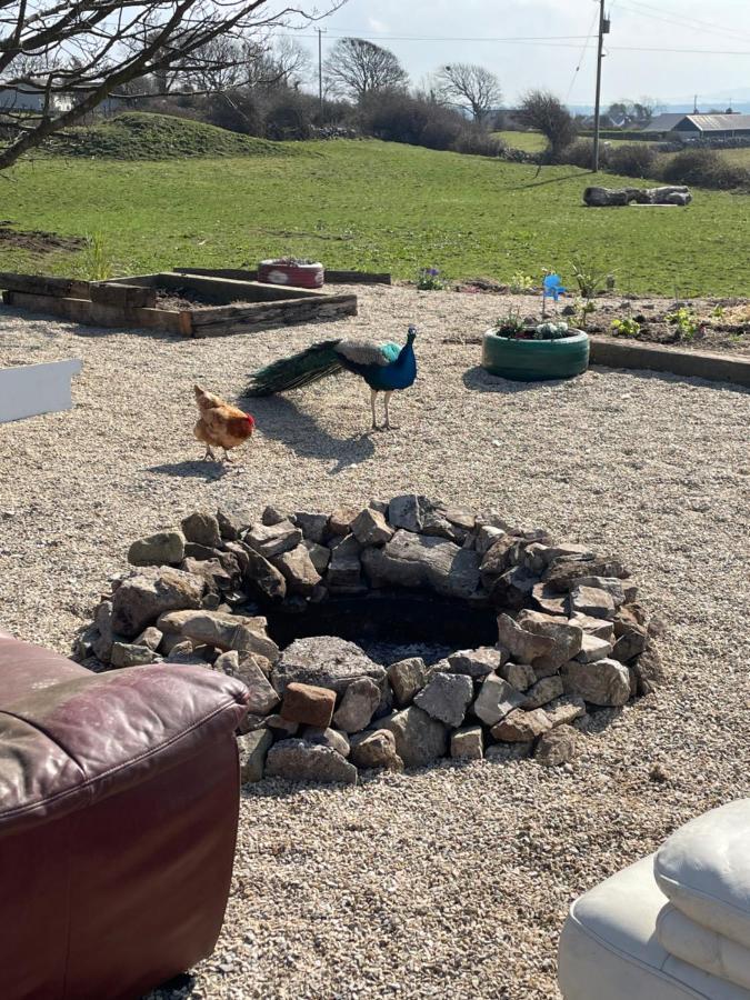 Farm Stay Property Pets And Families Welcome Rossnowlagh Luaran gambar